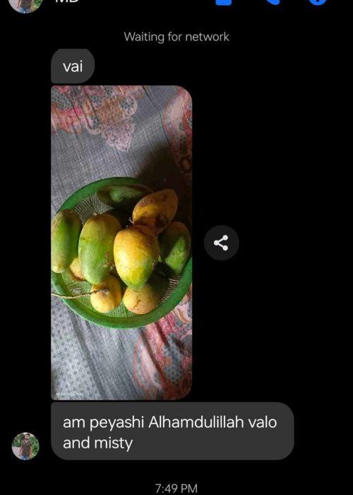 received_24350408914595561